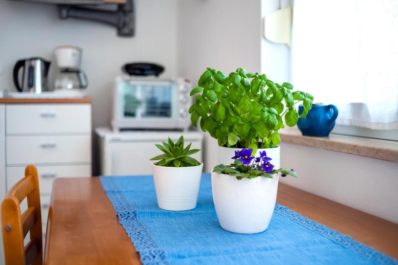 Banko Apartments ロヴィニ エクステリア 写真